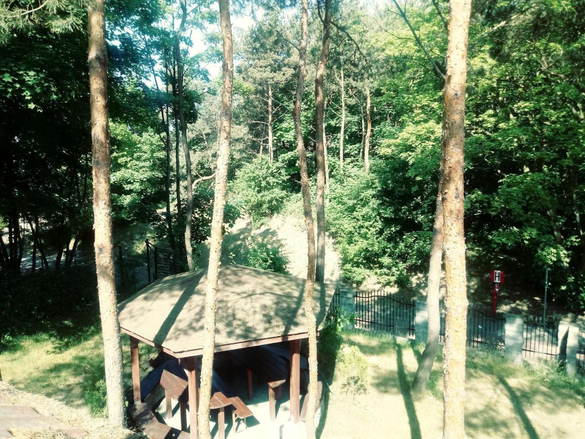 Apartamento Dom na Wzgórzu Jastarnia Exterior foto